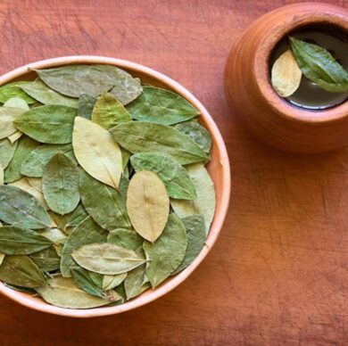 LA COCA HOJA SAGRADA DE LOS INCAS LA COCA HOJA SAGRADA DE LOS INCAS