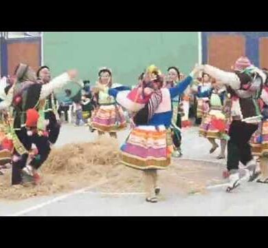 LA DANZA DE LA ALEGRIA